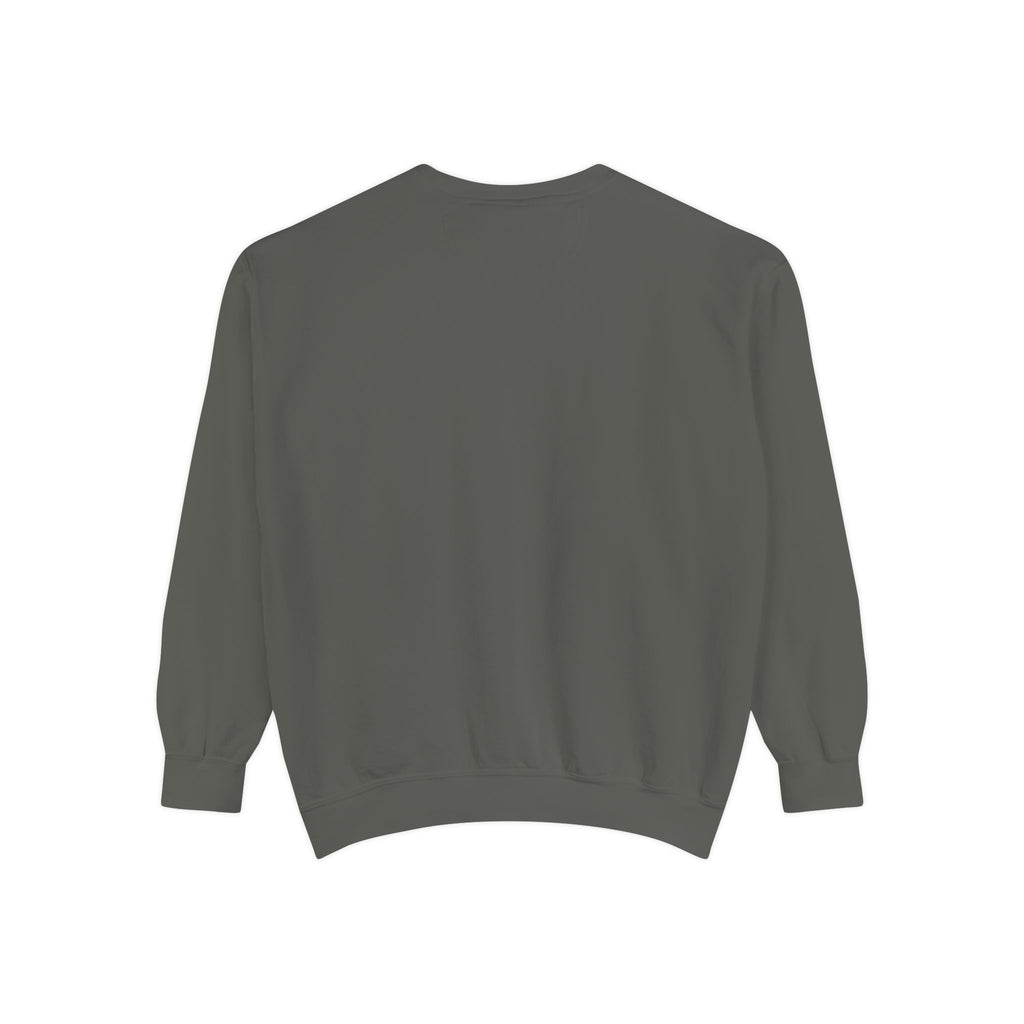 Game Day Sweatshirt – Vintage Distressed Sports Crewneck